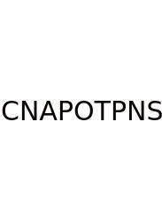 Cranial Nerves Are Part Of The Peripheral Nervous System