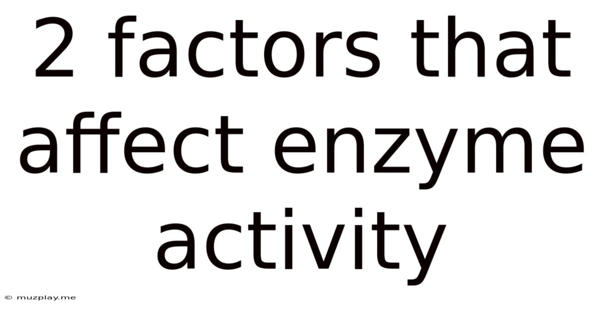 2 Factors That Affect Enzyme Activity