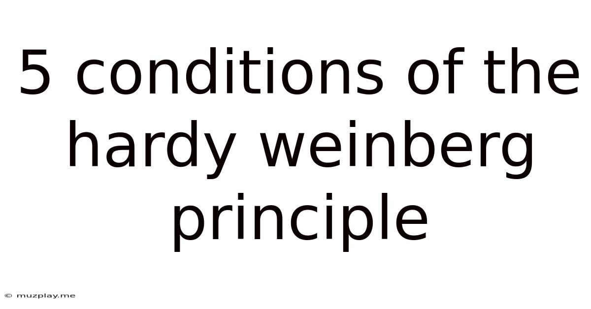 5 Conditions Of The Hardy Weinberg Principle