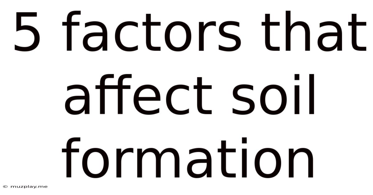 5 Factors That Affect Soil Formation