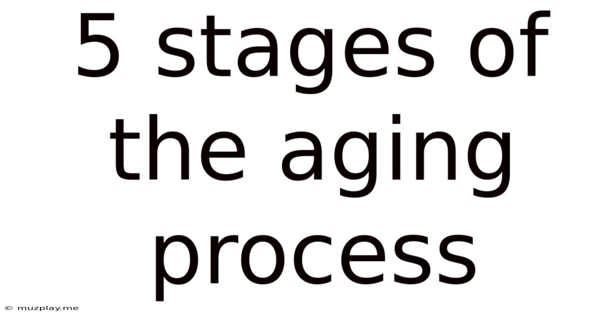 5 Stages Of The Aging Process