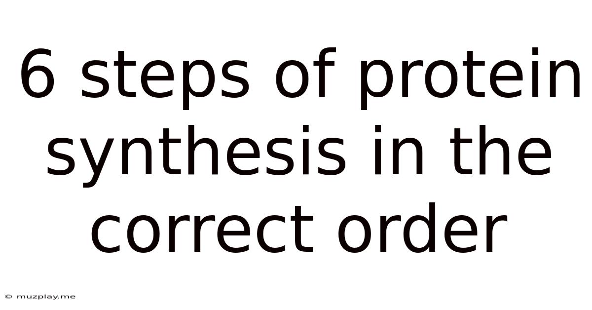 6 Steps Of Protein Synthesis In The Correct Order