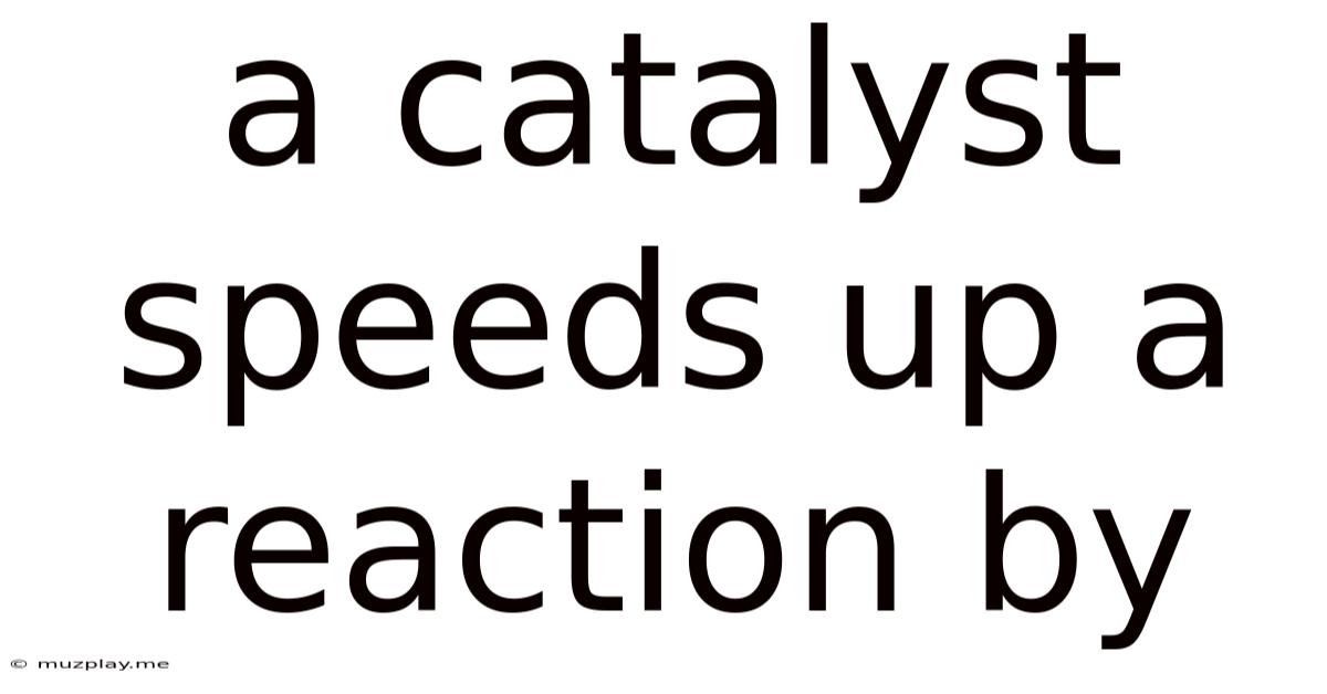 A Catalyst Speeds Up A Reaction By