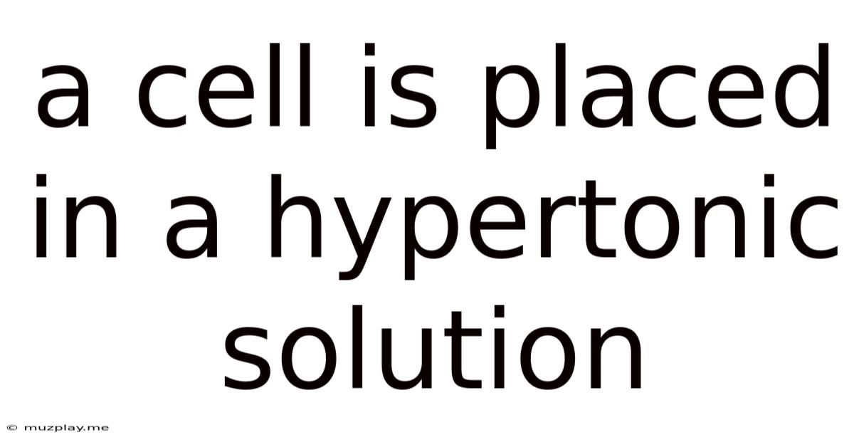 A Cell Is Placed In A Hypertonic Solution