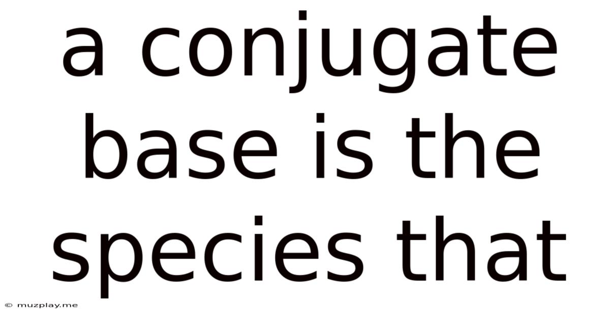 A Conjugate Base Is The Species That