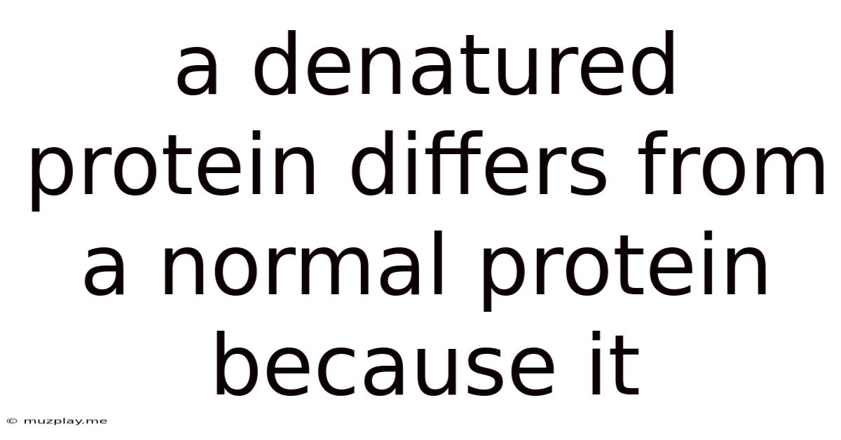A Denatured Protein Differs From A Normal Protein Because It