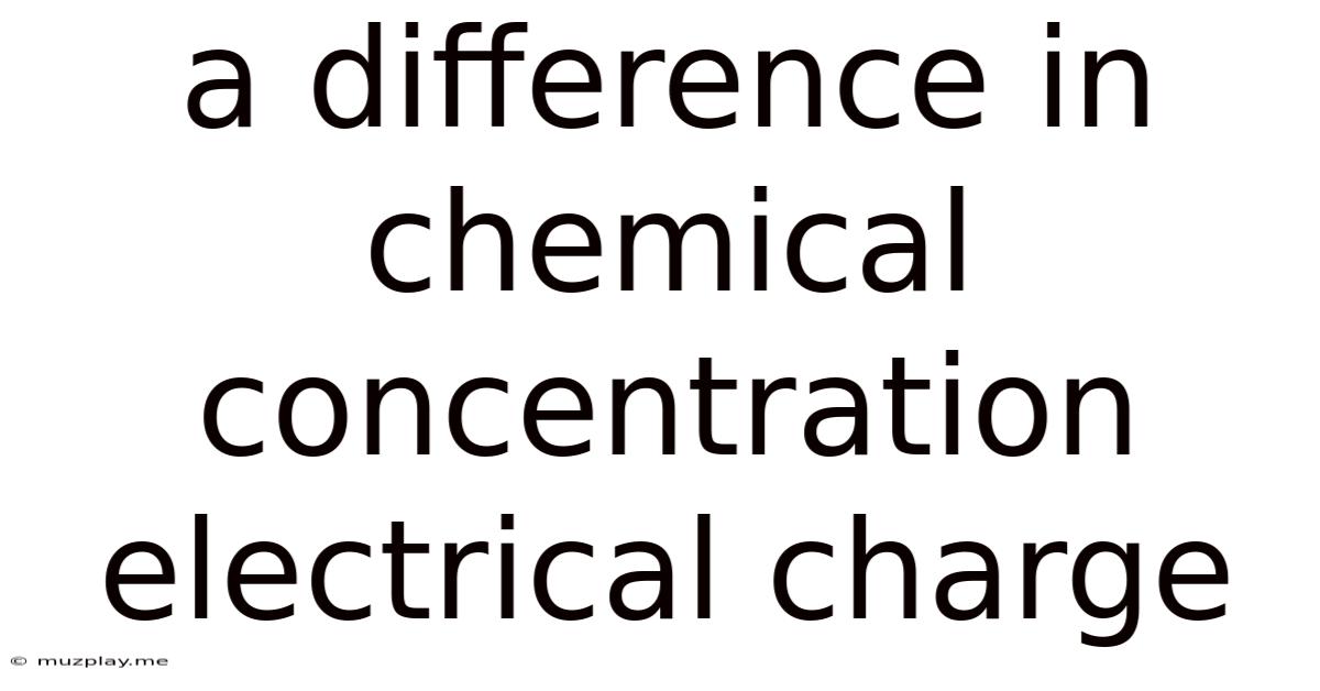 A Difference In Chemical Concentration Electrical Charge