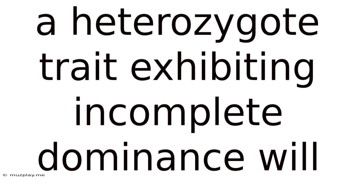 A Heterozygote Trait Exhibiting Incomplete Dominance Will