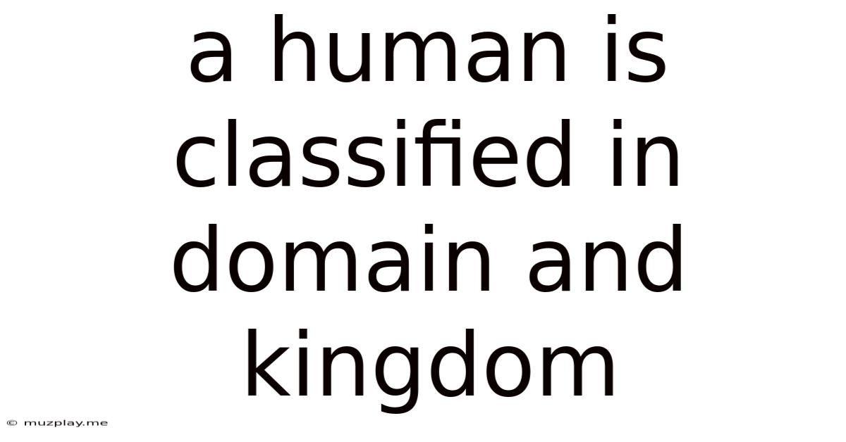 A Human Is Classified In Domain And Kingdom