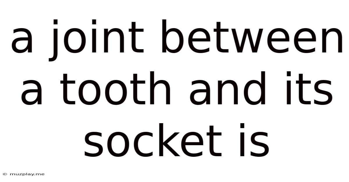 A Joint Between A Tooth And Its Socket Is