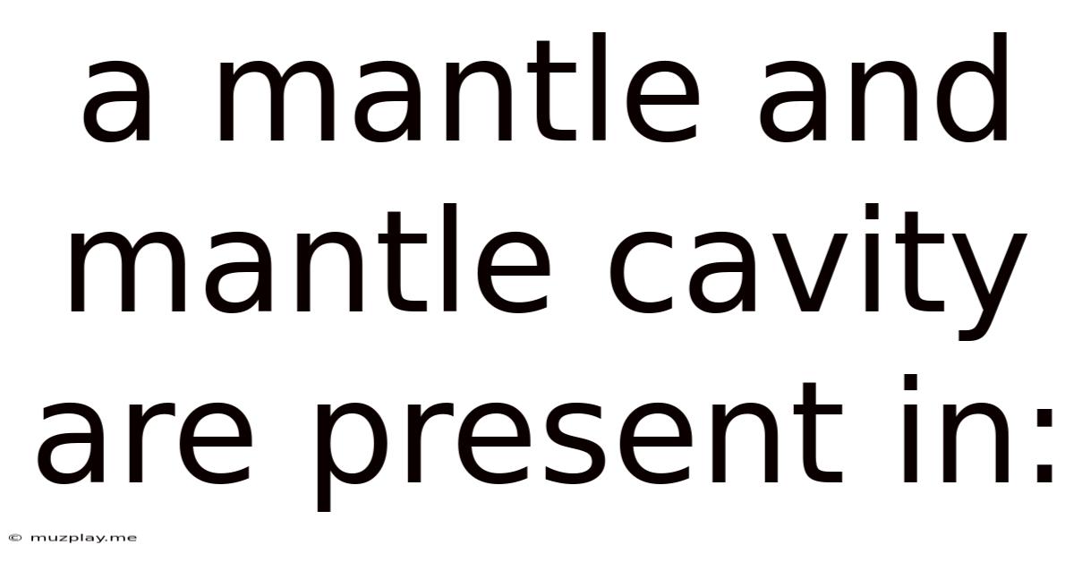 A Mantle And Mantle Cavity Are Present In: