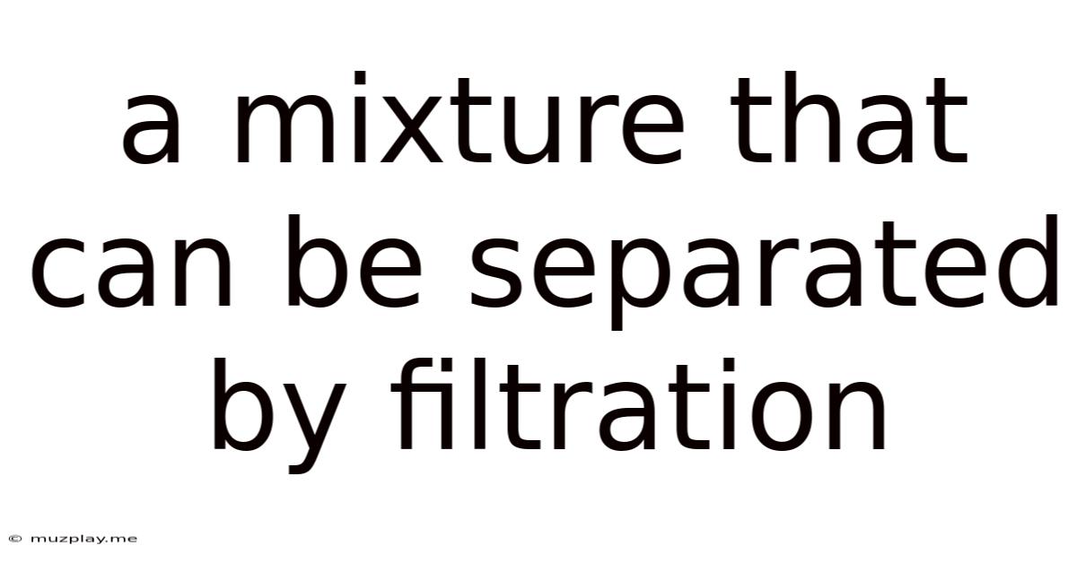 A Mixture That Can Be Separated By Filtration