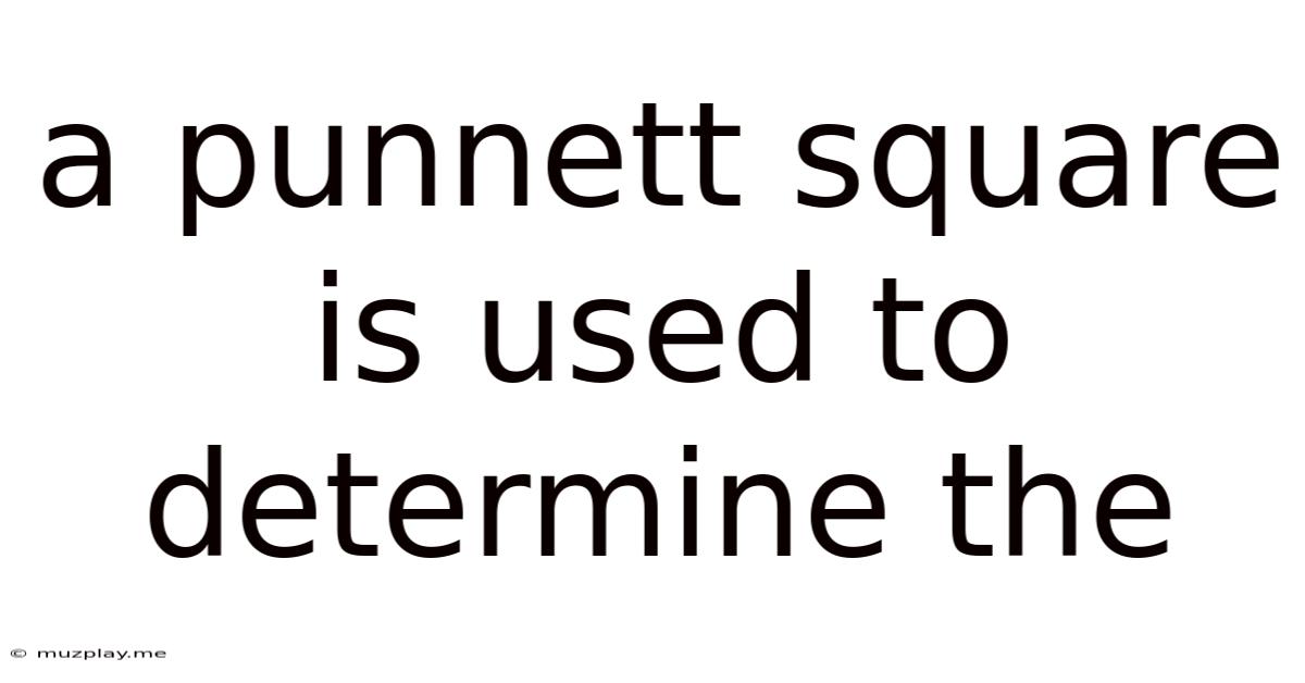 A Punnett Square Is Used To Determine The