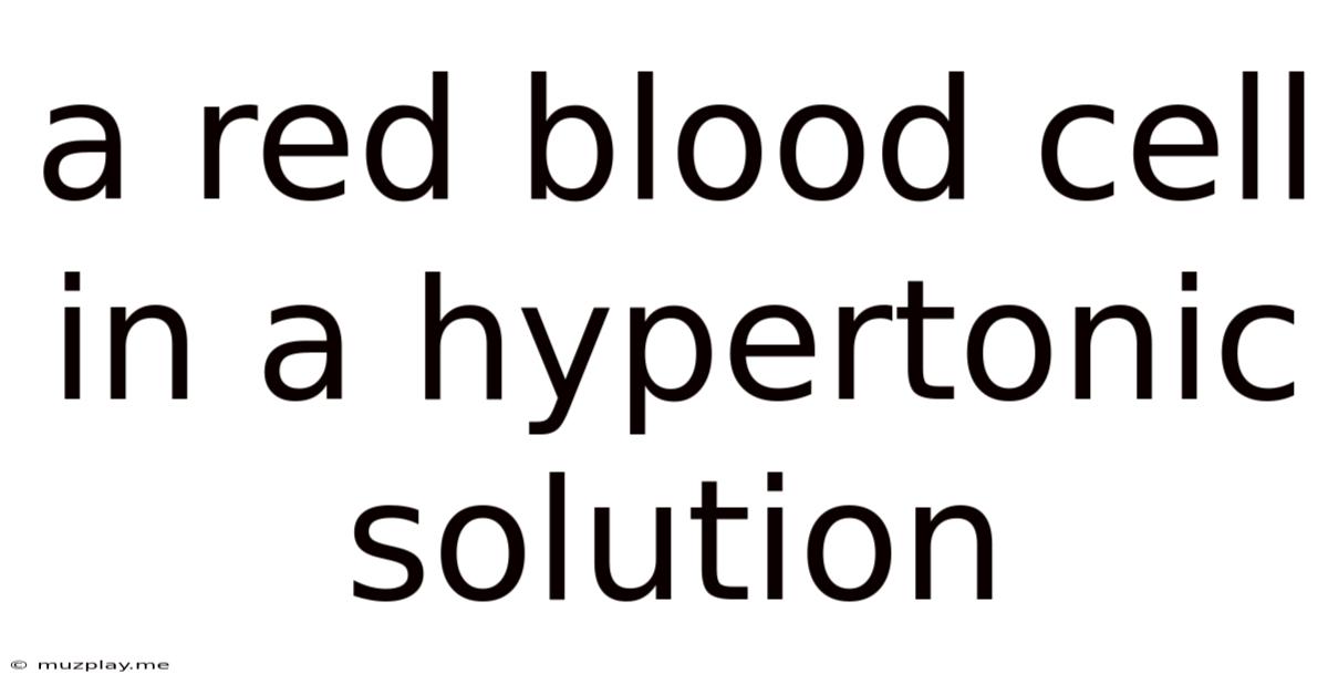 A Red Blood Cell In A Hypertonic Solution