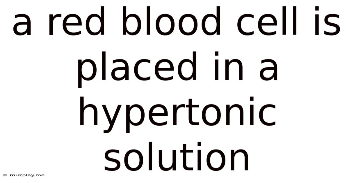 A Red Blood Cell Is Placed In A Hypertonic Solution