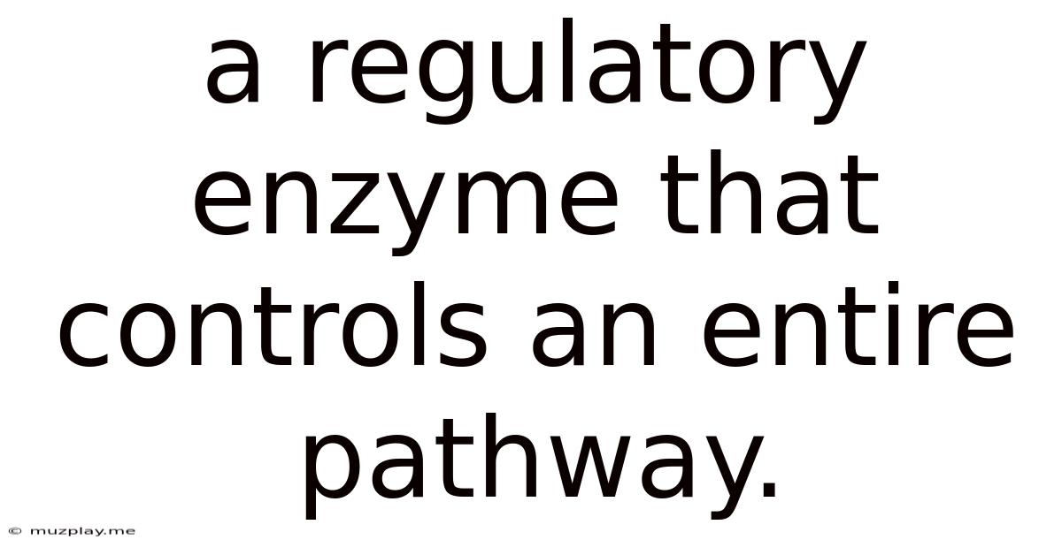 A Regulatory Enzyme That Controls An Entire Pathway.