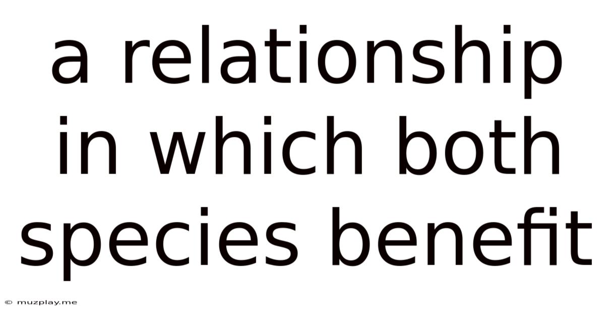 A Relationship In Which Both Species Benefit