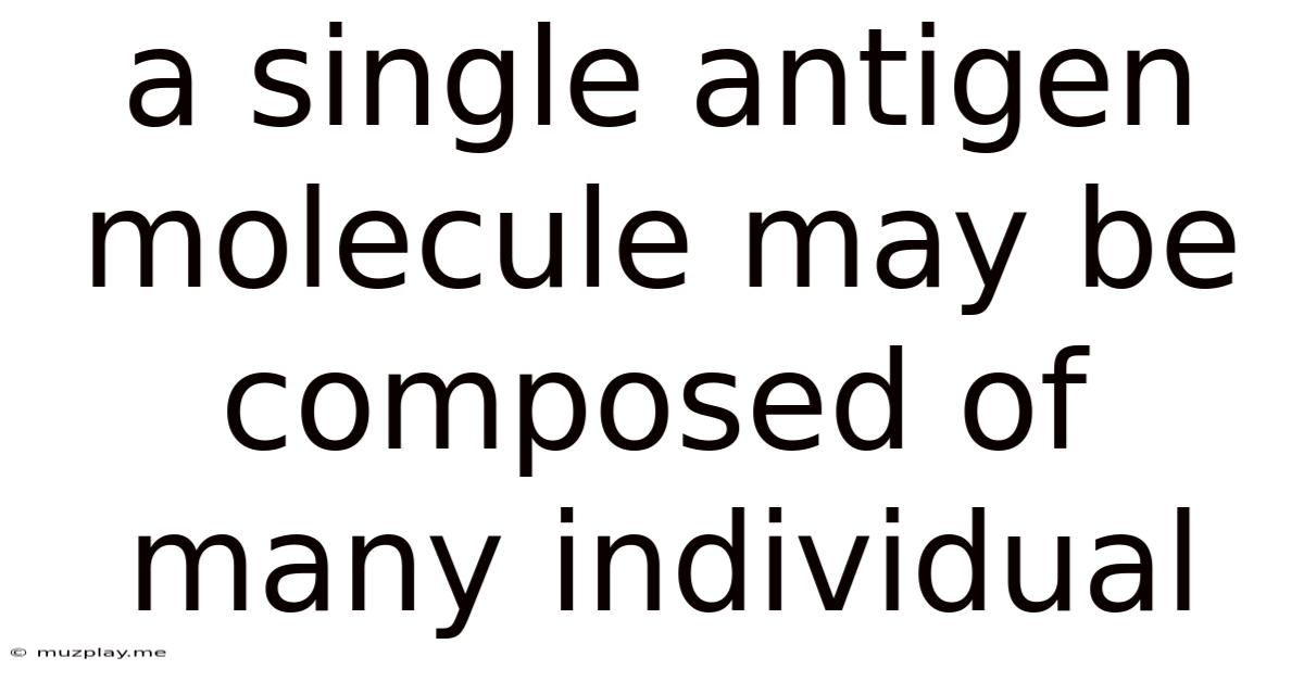 A Single Antigen Molecule May Be Composed Of Many Individual