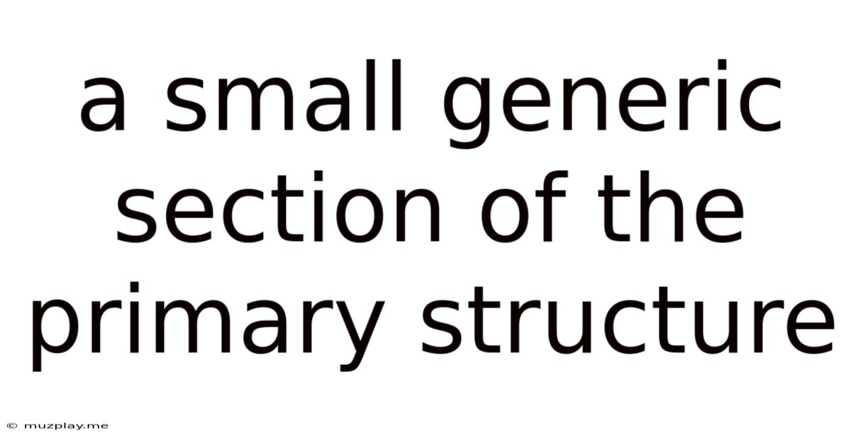 A Small Generic Section Of The Primary Structure
