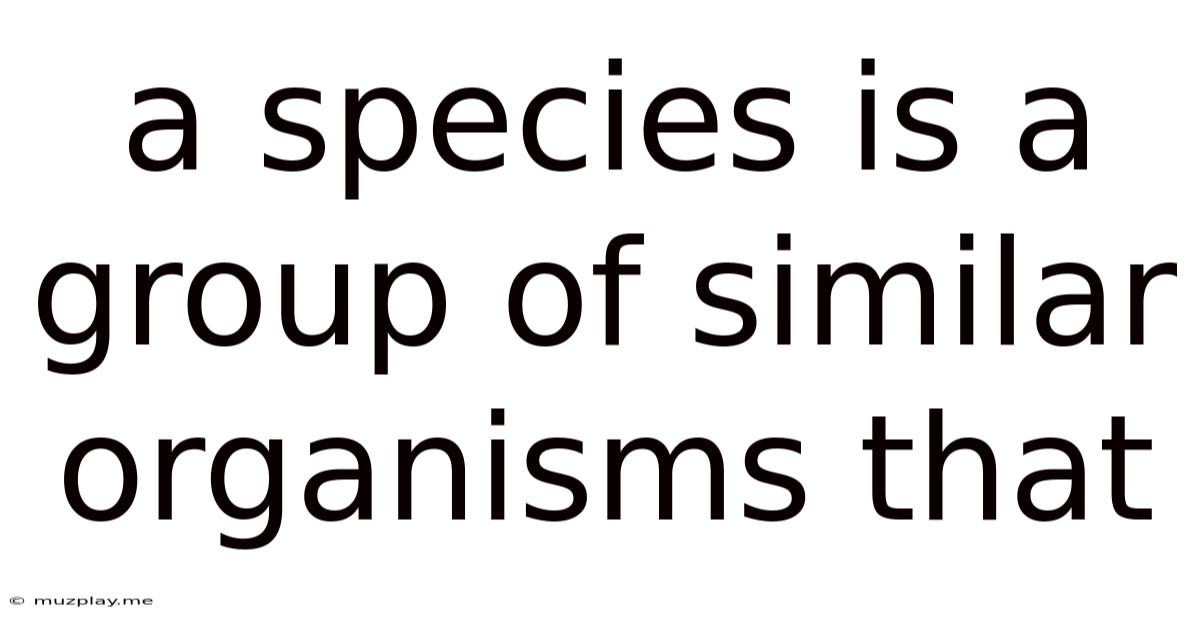 A Species Is A Group Of Similar Organisms That