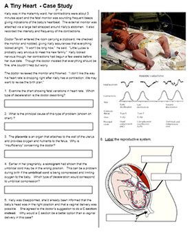 A Tiny Heart Case Study Answers