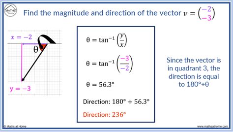 A Vector Has Magnitude And Direction