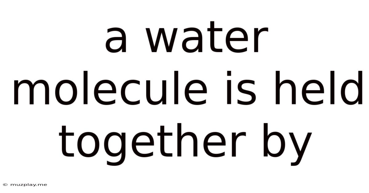 A Water Molecule Is Held Together By