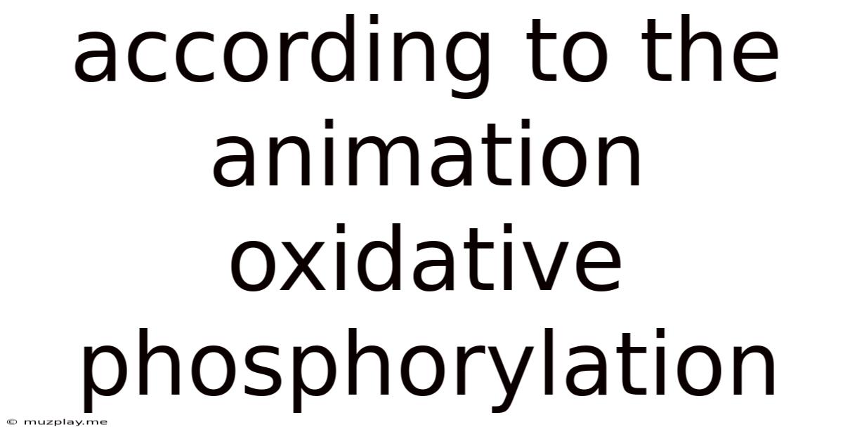 According To The Animation Oxidative Phosphorylation