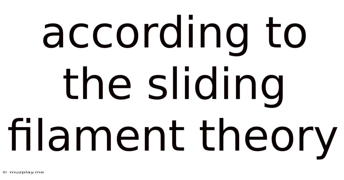 According To The Sliding Filament Theory