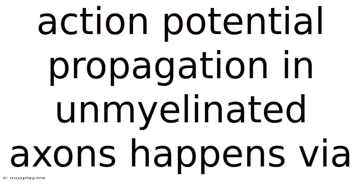 Action Potential Propagation In Unmyelinated Axons Happens Via