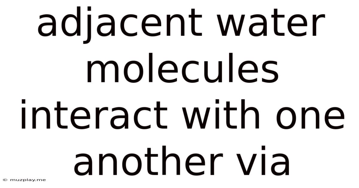 Adjacent Water Molecules Interact With One Another Via