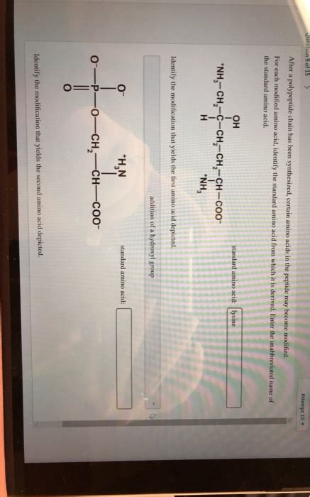 After A Polypeptide Chain Has Been Synthesized