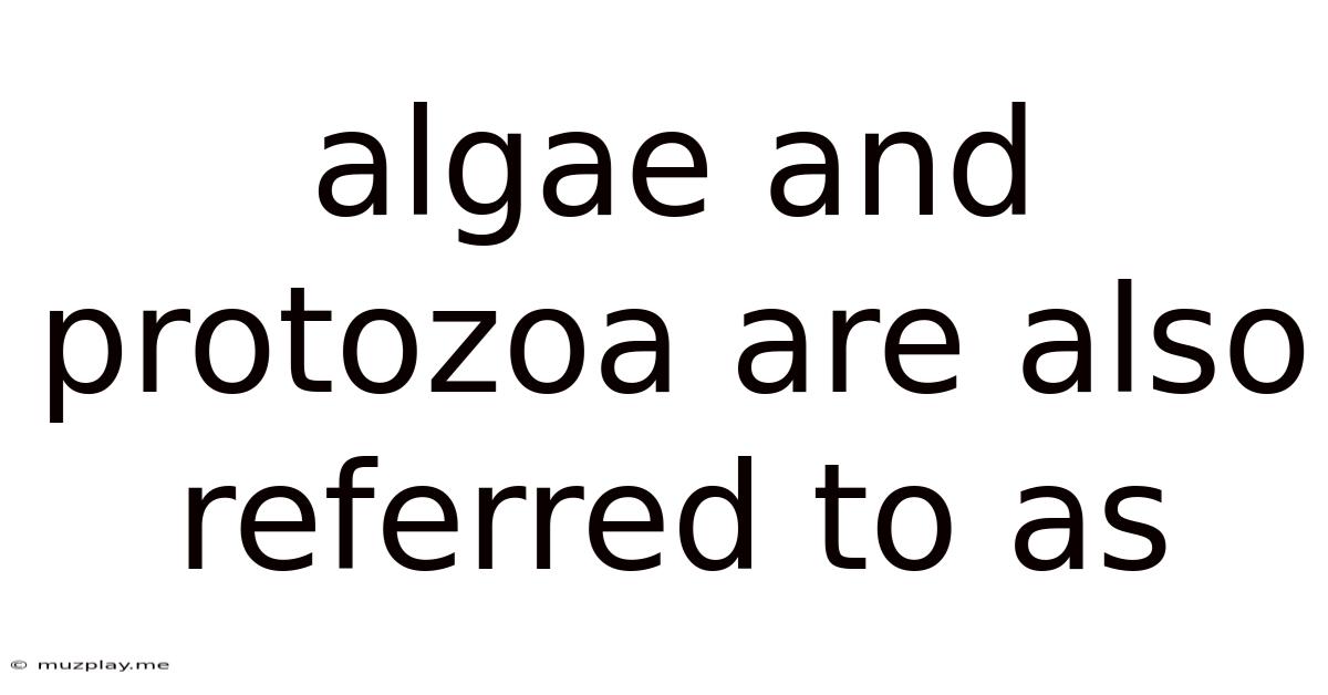 Algae And Protozoa Are Also Referred To As