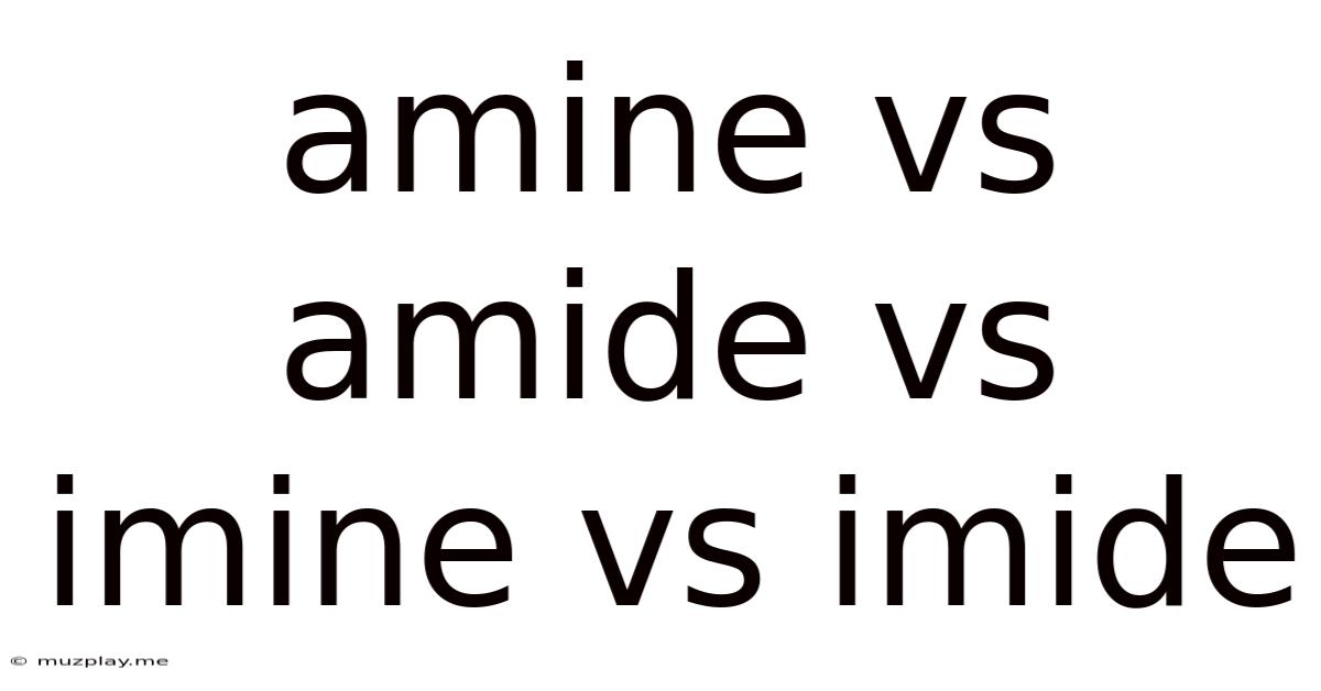 Amine Vs Amide Vs Imine Vs Imide