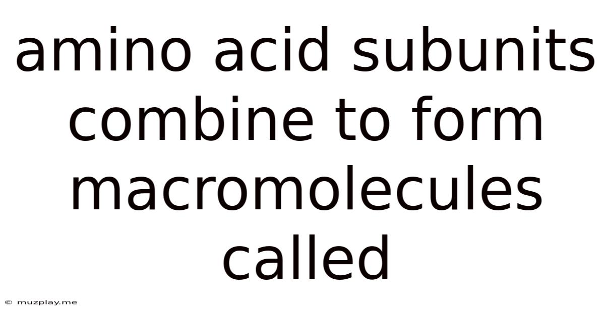 Amino Acid Subunits Combine To Form Macromolecules Called