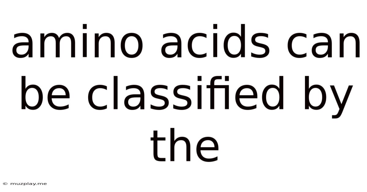 Amino Acids Can Be Classified By The