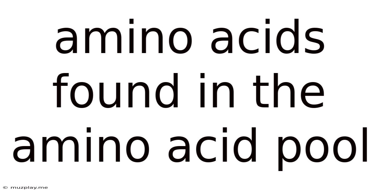 Amino Acids Found In The Amino Acid Pool