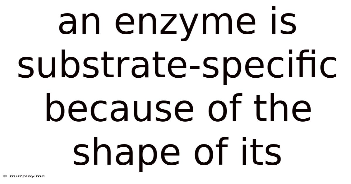 An Enzyme Is Substrate-specific Because Of The Shape Of Its