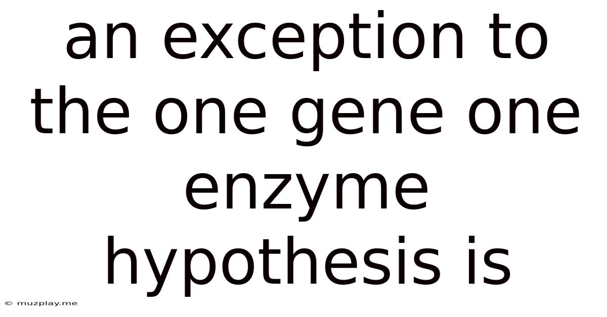 An Exception To The One Gene One Enzyme Hypothesis Is