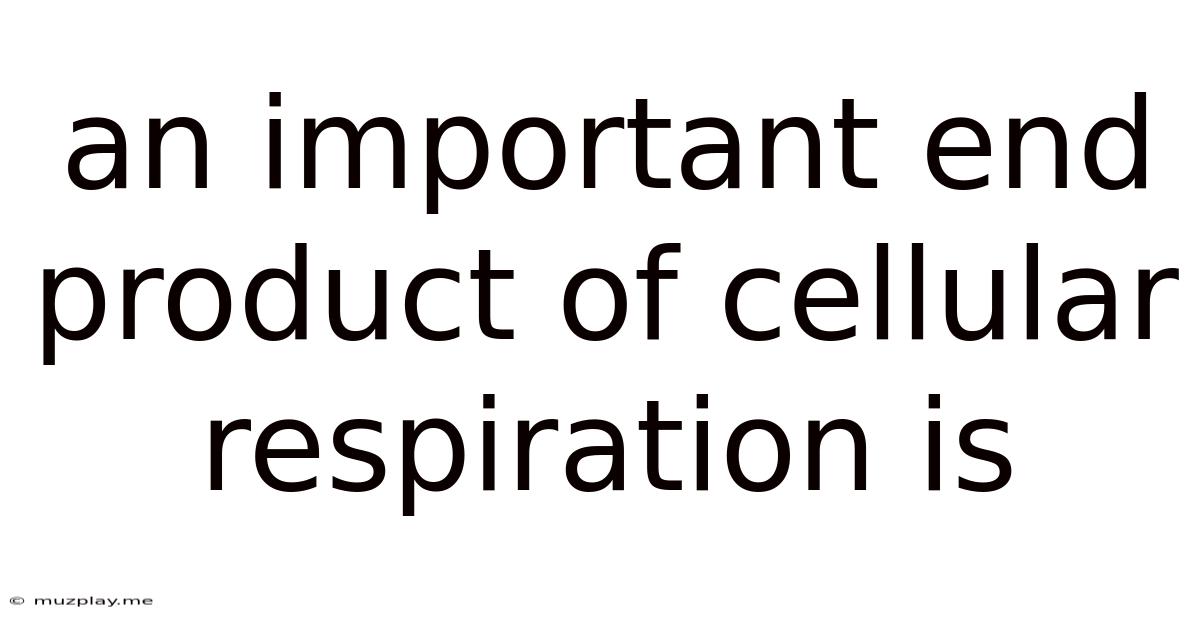An Important End Product Of Cellular Respiration Is