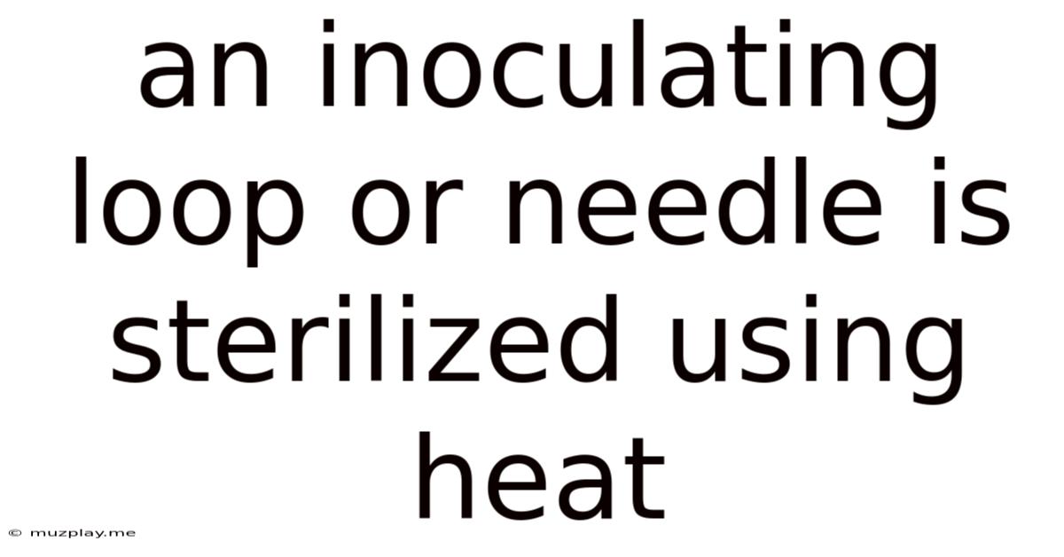An Inoculating Loop Or Needle Is Sterilized Using Heat
