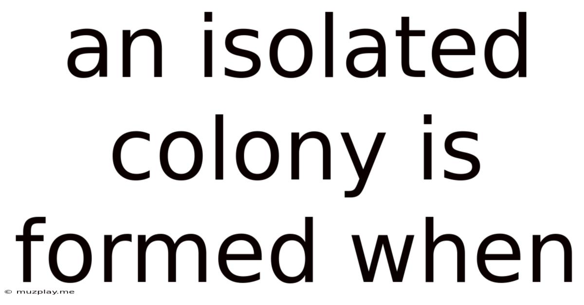 An Isolated Colony Is Formed When