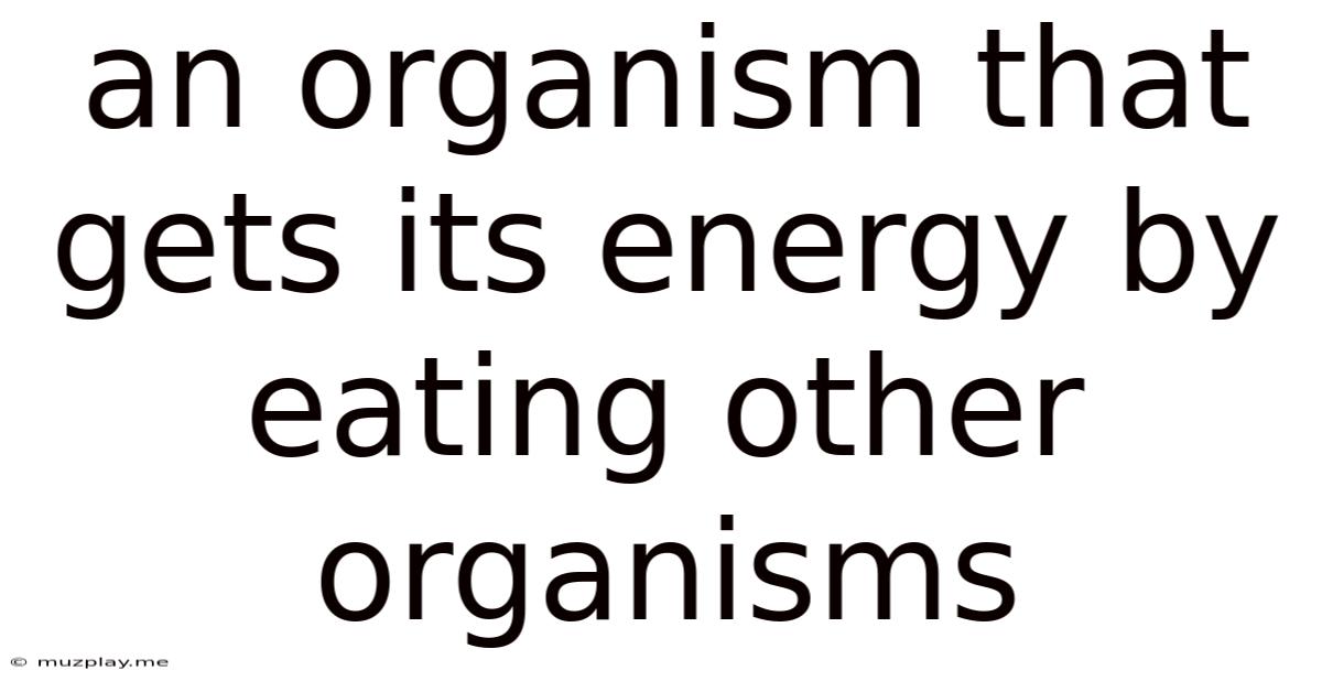 An Organism That Gets Its Energy By Eating Other Organisms