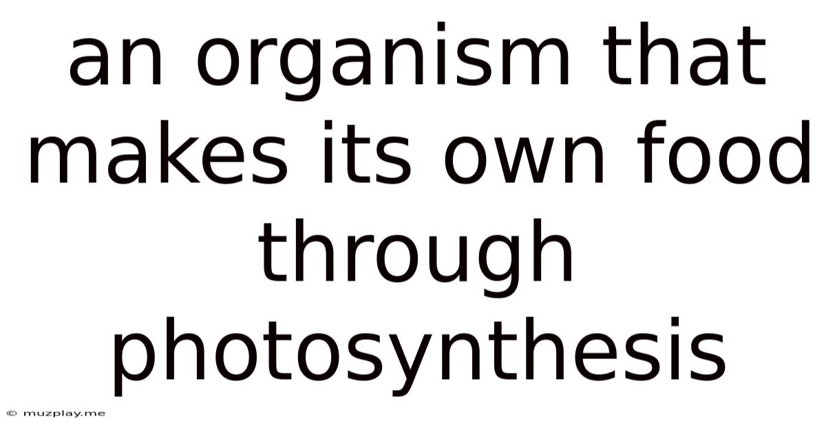 An Organism That Makes Its Own Food Through Photosynthesis