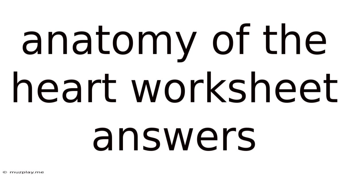 Anatomy Of The Heart Worksheet Answers