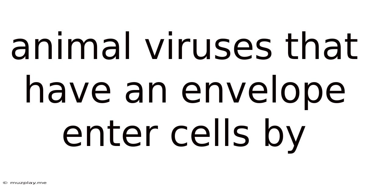 Animal Viruses That Have An Envelope Enter Cells By