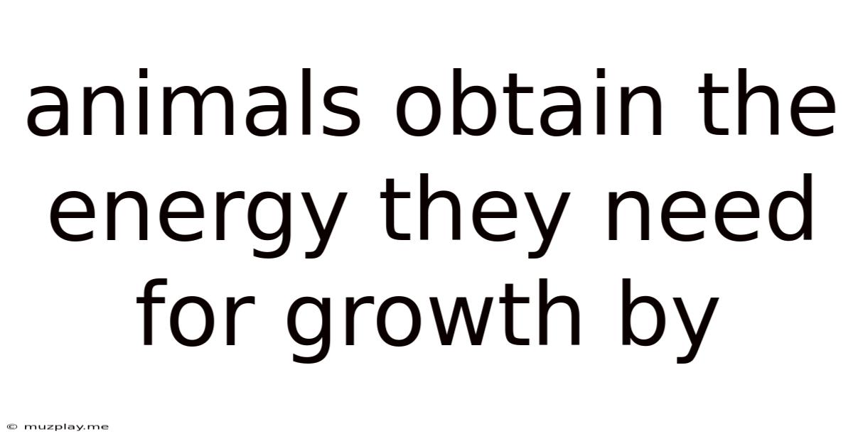 Animals Obtain The Energy They Need For Growth By