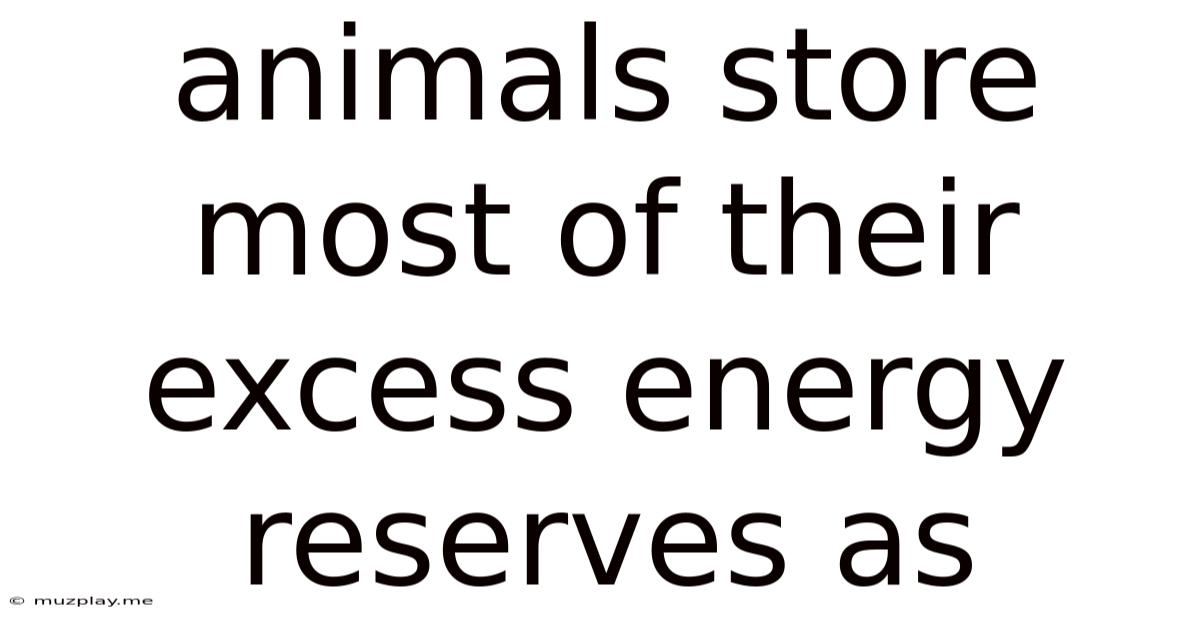 Animals Store Most Of Their Excess Energy Reserves As