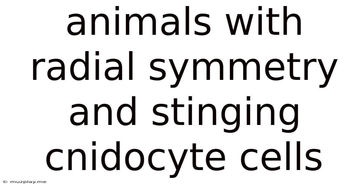 Animals With Radial Symmetry And Stinging Cnidocyte Cells