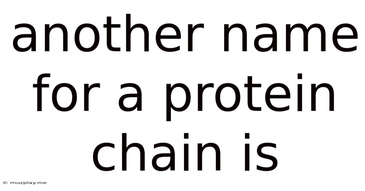 Another Name For A Protein Chain Is